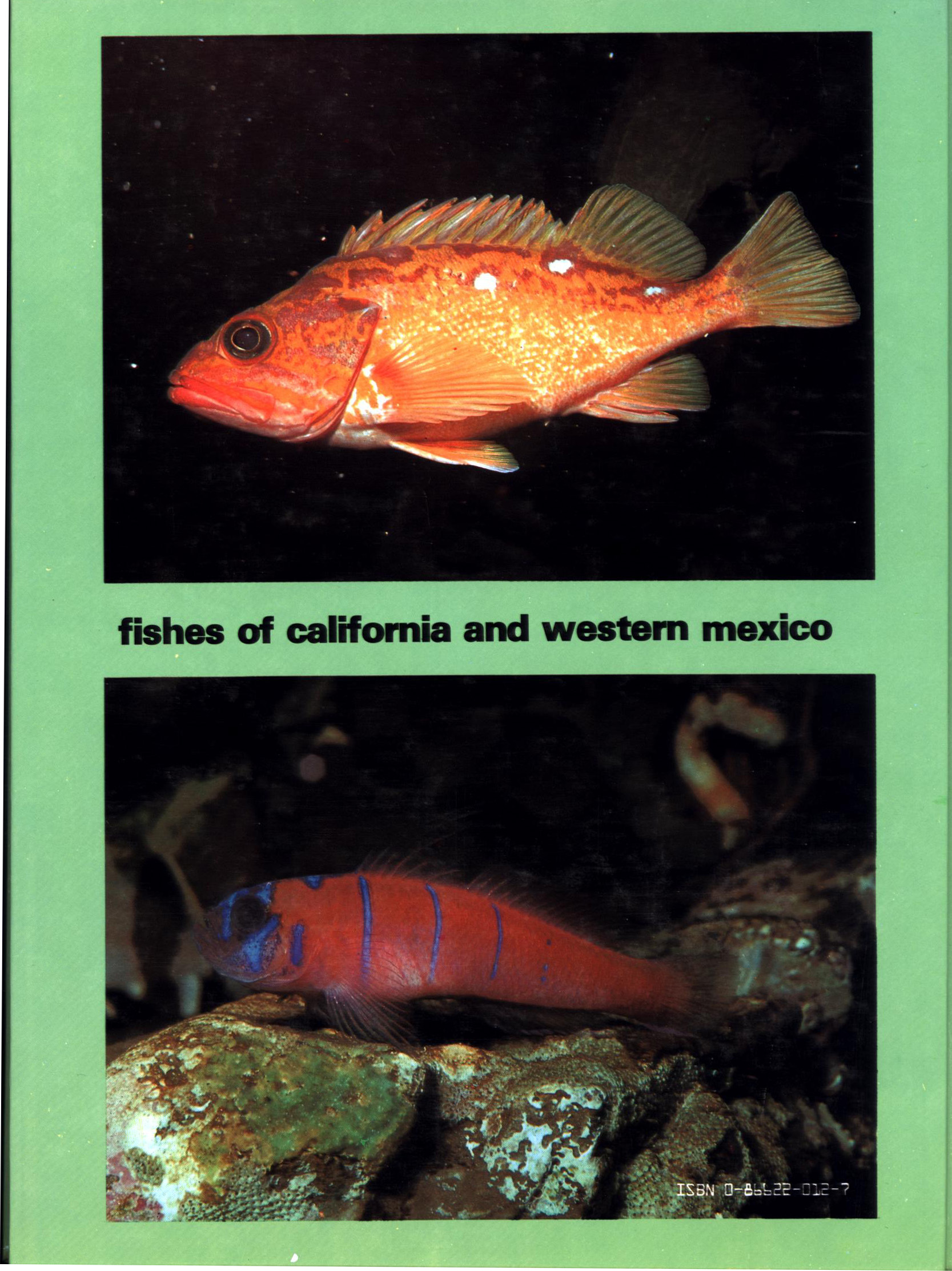 FISHES OF CALIFORNIA AND WESTERN MEXICO: vbotfhp6102f